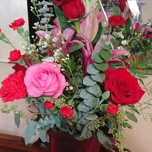 Meet your Posher, Holly